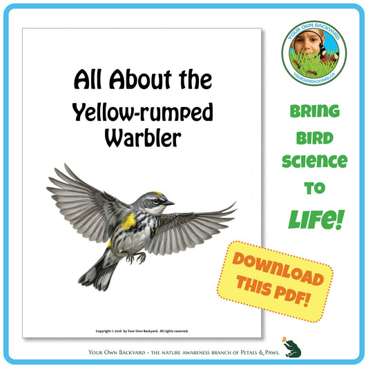 Product image for downloadable PDF, 'All About Birds - the Yellow-rumped Warbler', an elementary-level unit study product by Your Own Backyard | Petals & Paws.