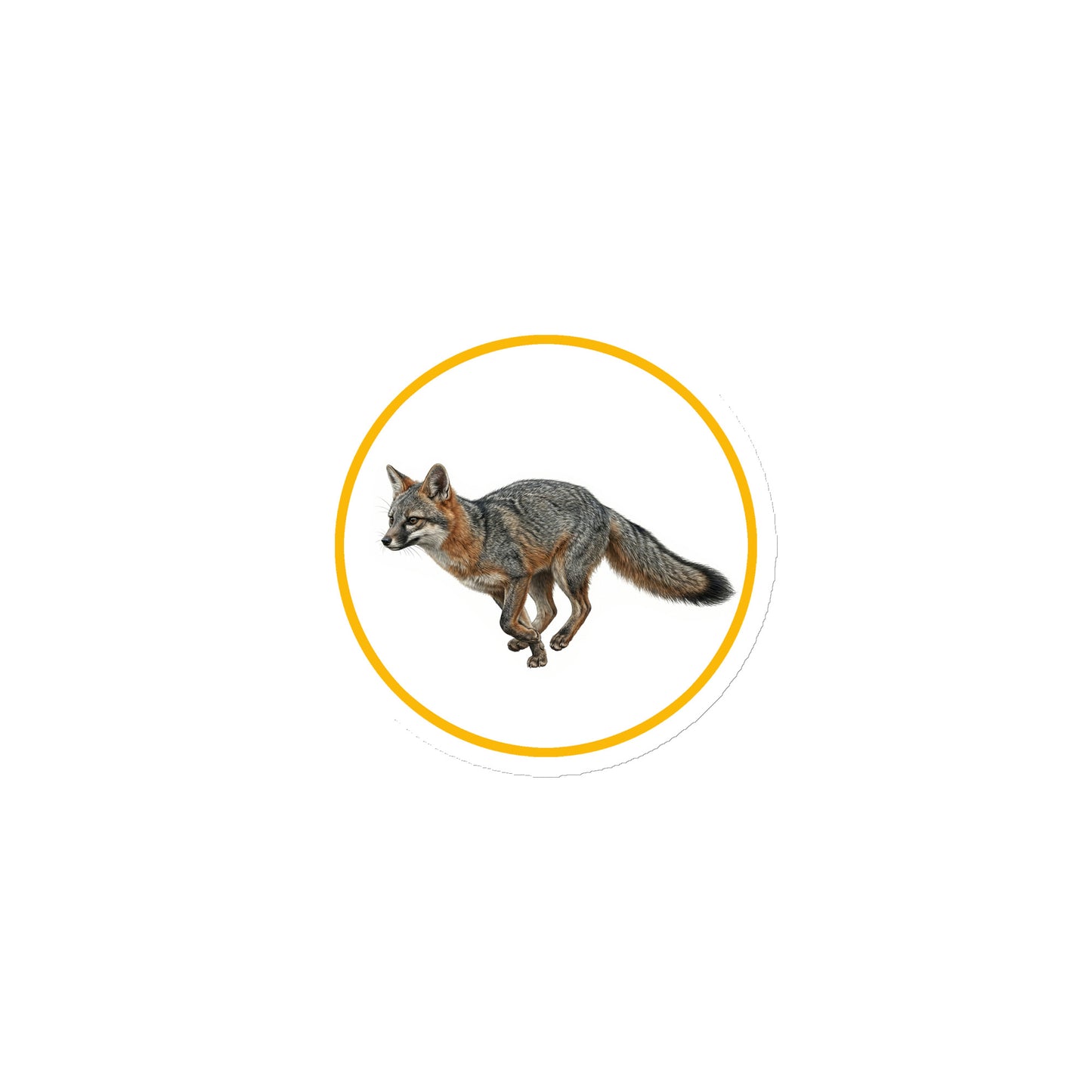 Gray Fox Circular Magnet